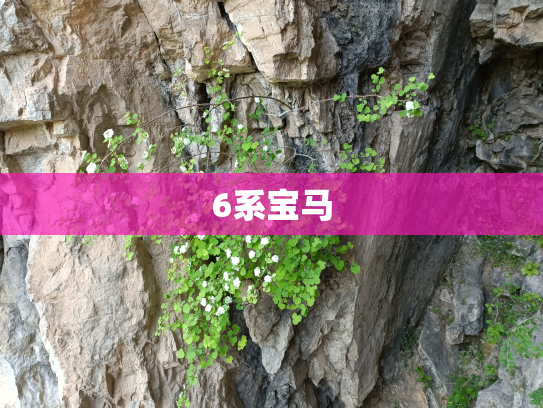 6系宝马