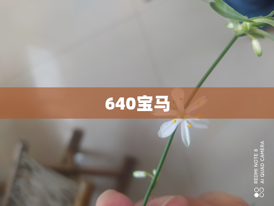 640宝马
