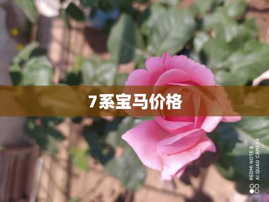 7系宝马价格