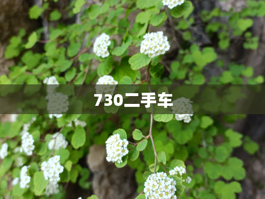 730二手车