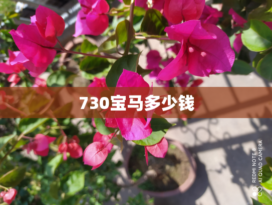 730宝马多少钱