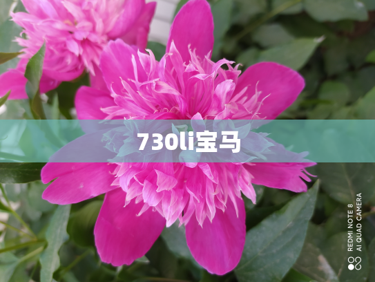 730li宝马