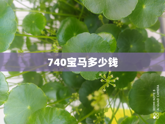 740宝马多少钱