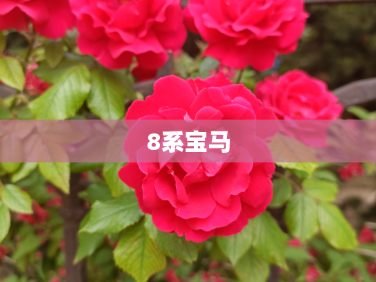 8系宝马