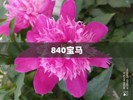 840宝马