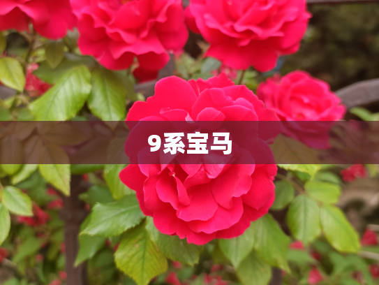 9系宝马