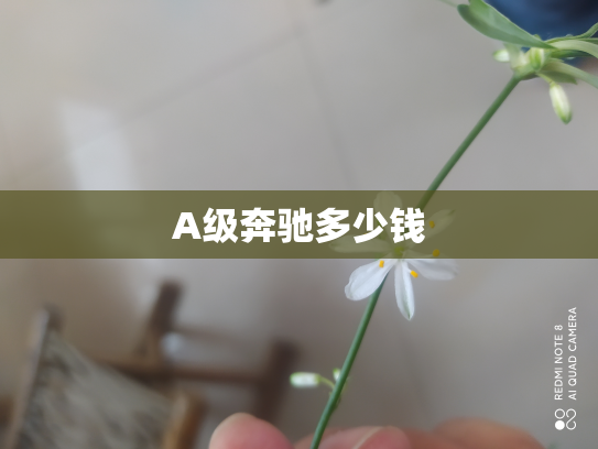 A级奔驰多少钱