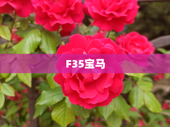 F35宝马
