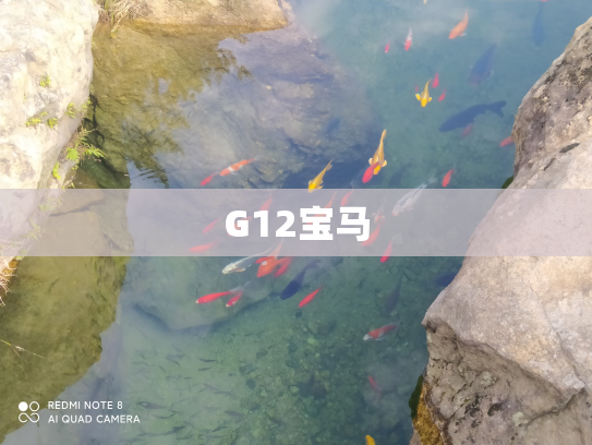 G12宝马