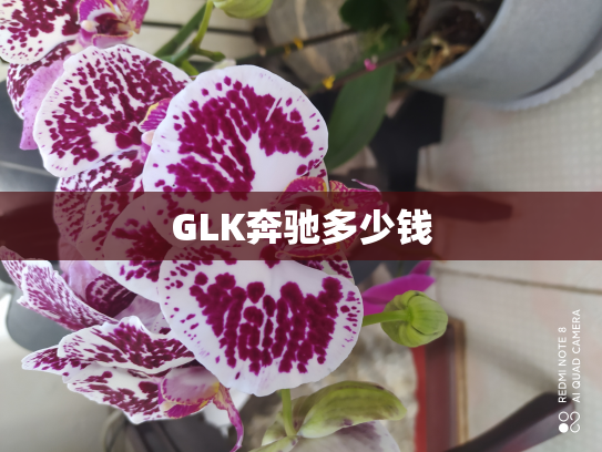 GLK奔驰多少钱
