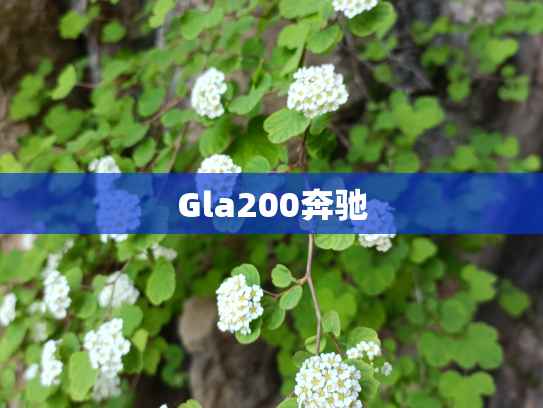 Gla200奔驰