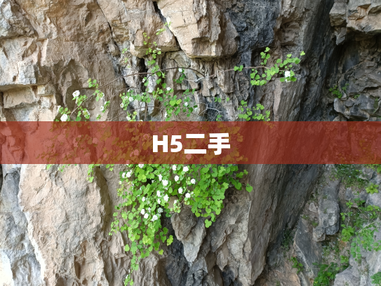 H5二手