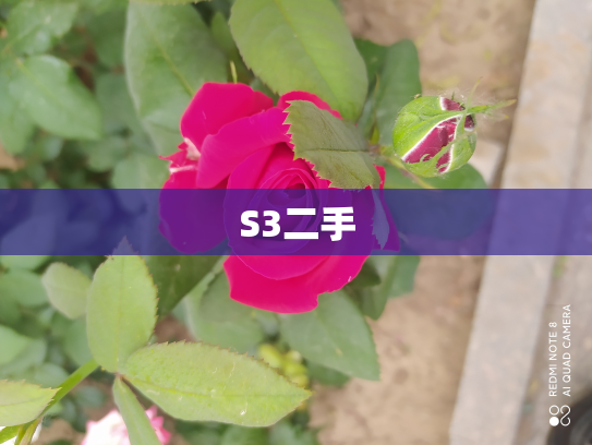 S3二手