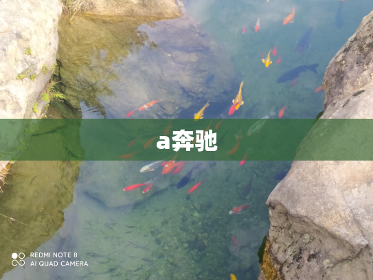 a奔驰