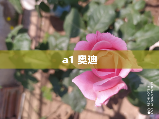 a1 奥迪