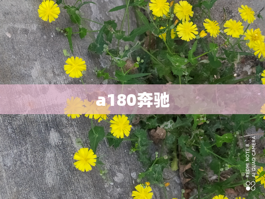 a180奔驰