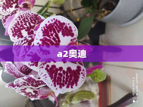 a2奥迪