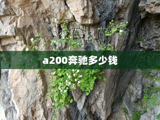 a200奔驰多少钱