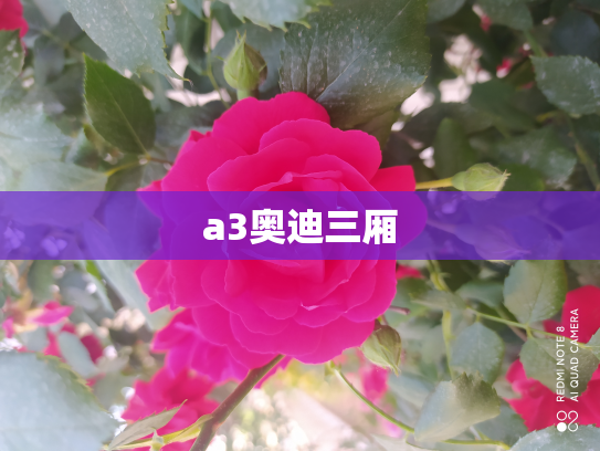 a3奥迪三厢