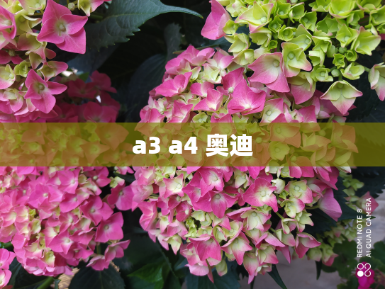 a3 a4 奥迪