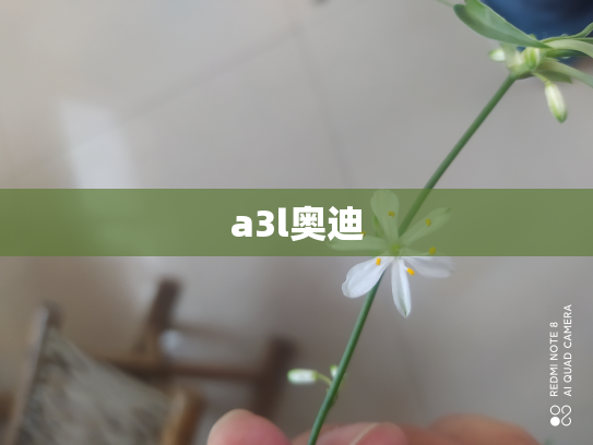 a3l奥迪