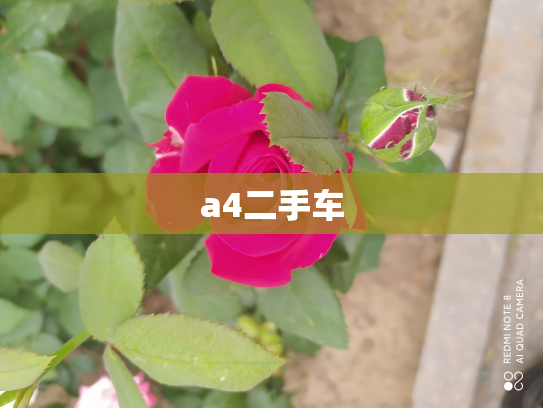 a4二手车