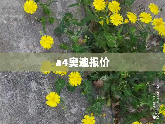 a4奥迪报价