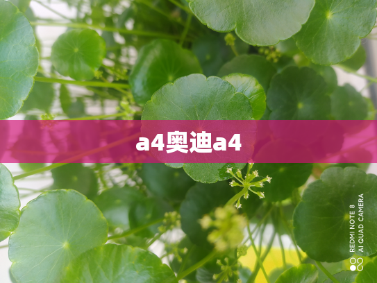 a4奥迪a4