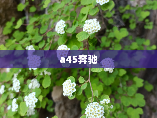 a45奔驰