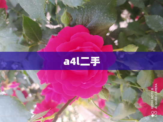 a4l二手