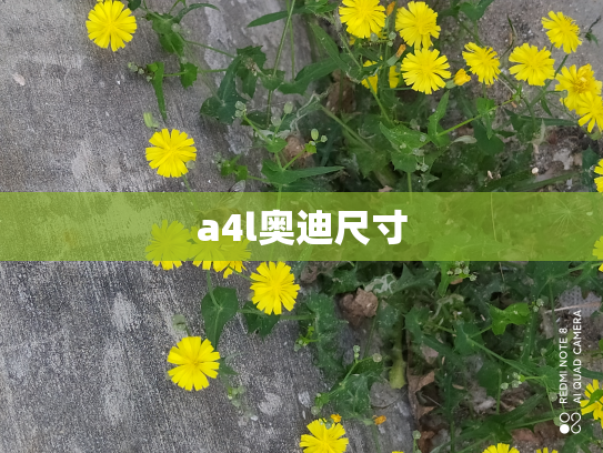 a4l奥迪尺寸