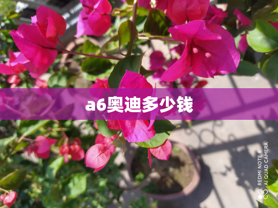 a6奥迪多少钱