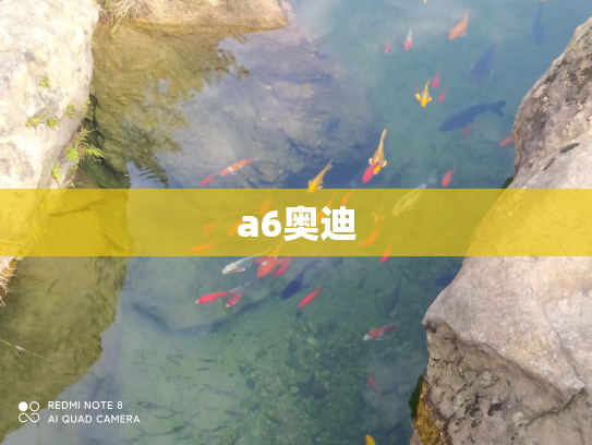 a6奥迪
