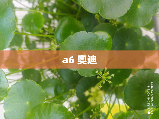 a6 奥迪