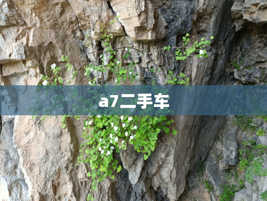 a7二手车