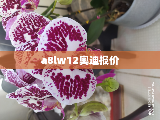 a8lw12奥迪报价