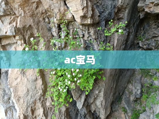 ac宝马