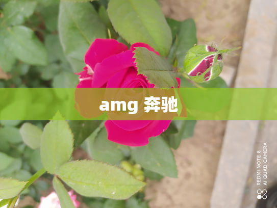 amg 奔驰