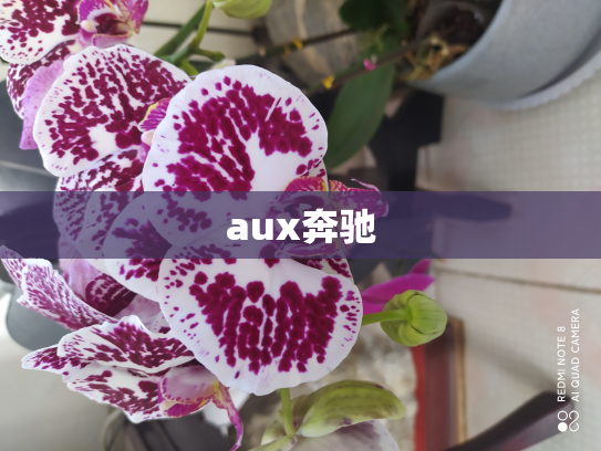 aux奔驰
