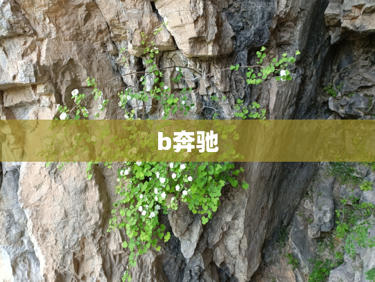 b奔驰
