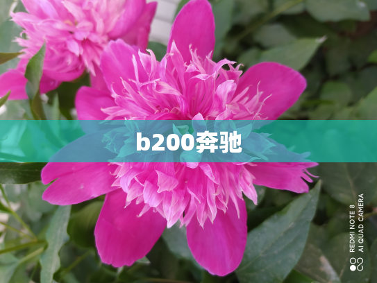b200奔驰
