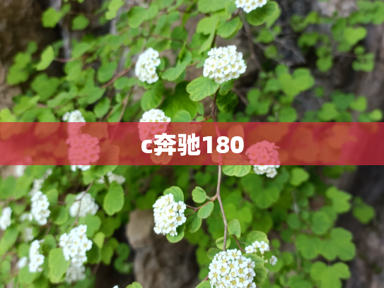 c奔驰180