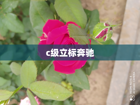 c级立标奔驰