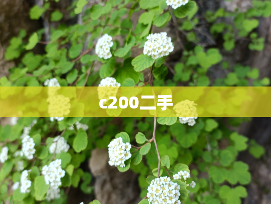 c200二手