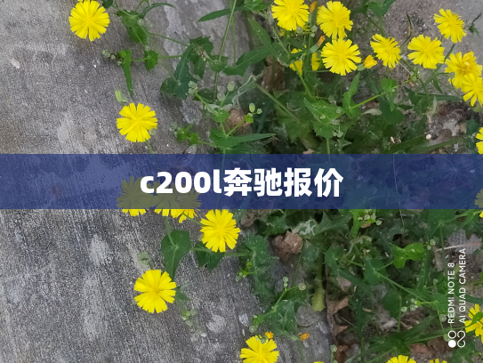 c200l奔驰报价