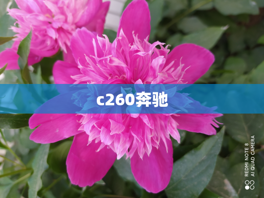 c260奔驰
