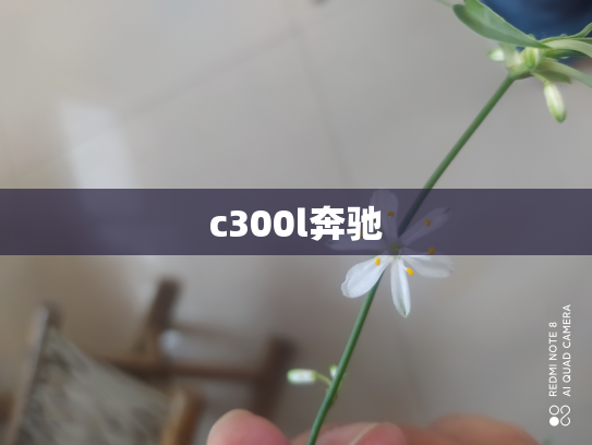 c300l奔驰
