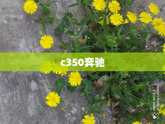 c350奔驰