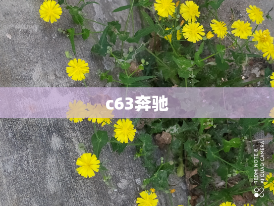 c63奔驰