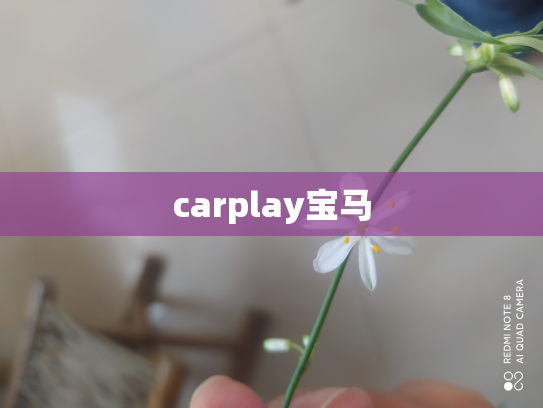carplay宝马